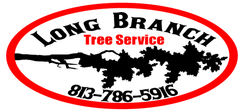 long branch tree service logo