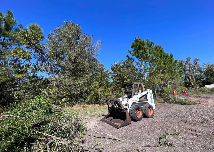 land clearing tampa fl