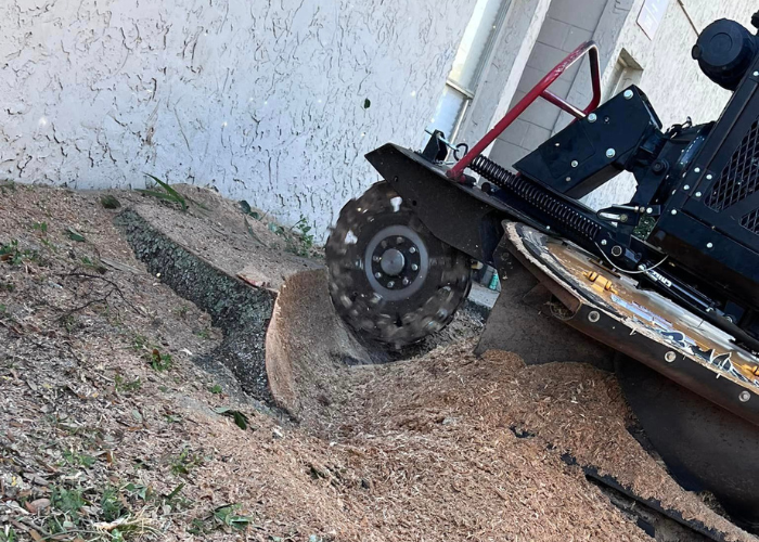 stump grinding tampa fl